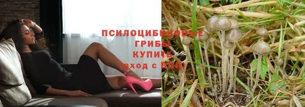 mdpv Волоколамск