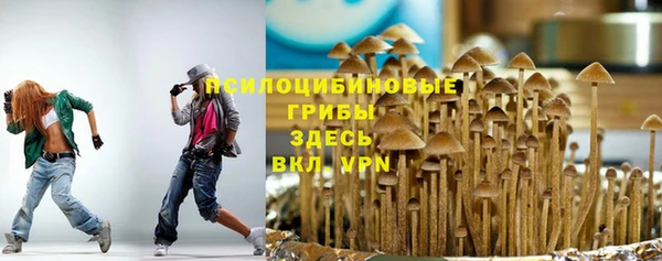 mdpv Волоколамск