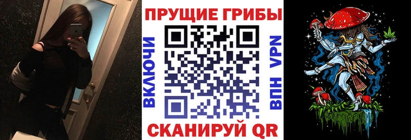 Галлюциногенные грибы ЛСД  купить наркотик  Новосибирск 